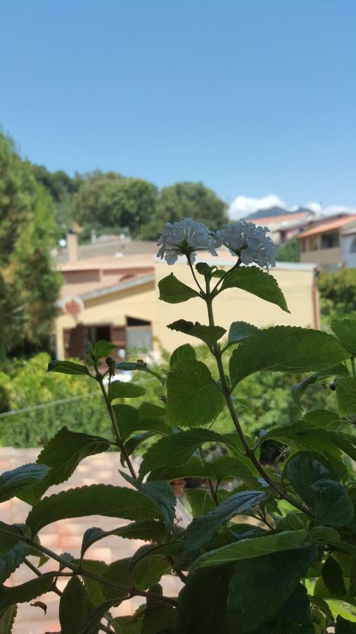 Bed and Breakfast Il Girasole Домус-де-Марія Екстер'єр фото